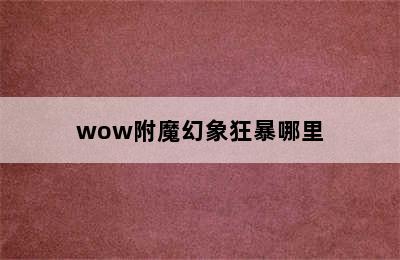 wow附魔幻象狂暴哪里