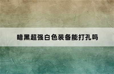 暗黑超强白色装备能打孔吗