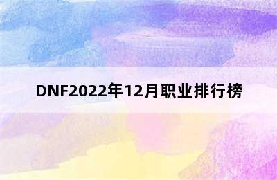 DNF2022年12月职业排行榜