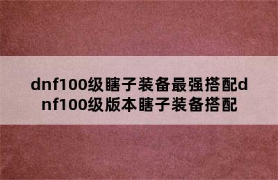 dnf100级瞎子装备最强搭配dnf100级版本瞎子装备搭配