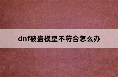 dnf被盗模型不符合怎么办
