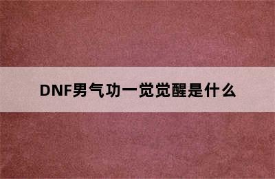 DNF男气功一觉觉醒是什么