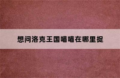 想问洛克王国喵喵在哪里捉