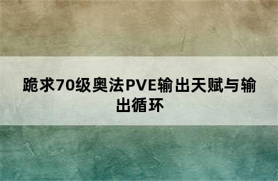跪求70级奥法PVE输出天赋与输出循环