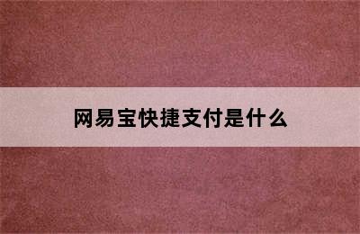网易宝快捷支付是什么